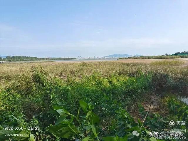 北戴河鸽子窝公园游记｜申艳娟