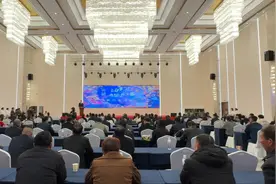 明年3月！2025湾区之声·花海勉县油菜花音乐嘉年华将盛大启幕！图片