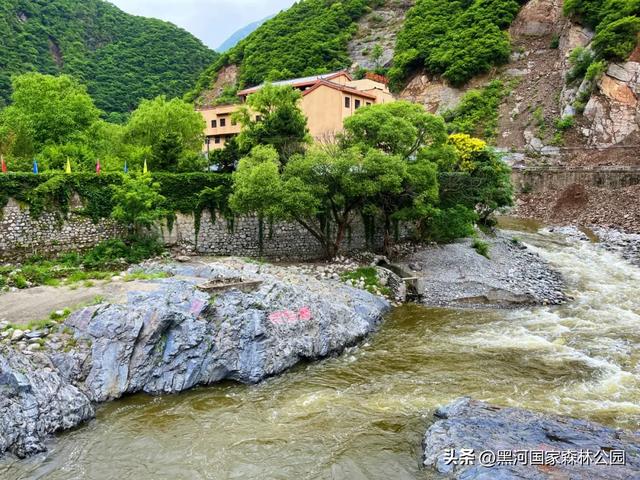 夏季避暑有“凉”方,黑河山水邀你共赴清凉盛宴!
