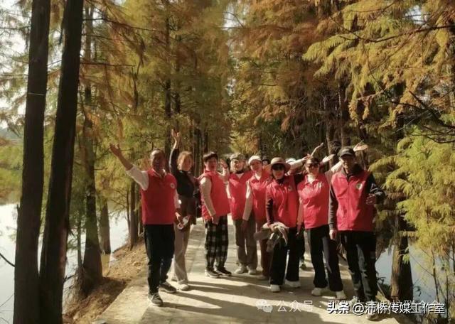 最美水杉林里志愿红