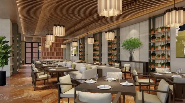 疗愈新地标 | 上海新虹桥中心舍丽雅酒店2025年第四季度启幕