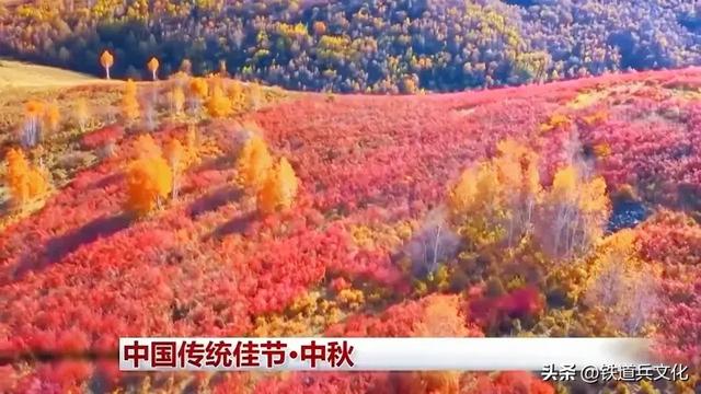 军歌||月光里的中秋文化情