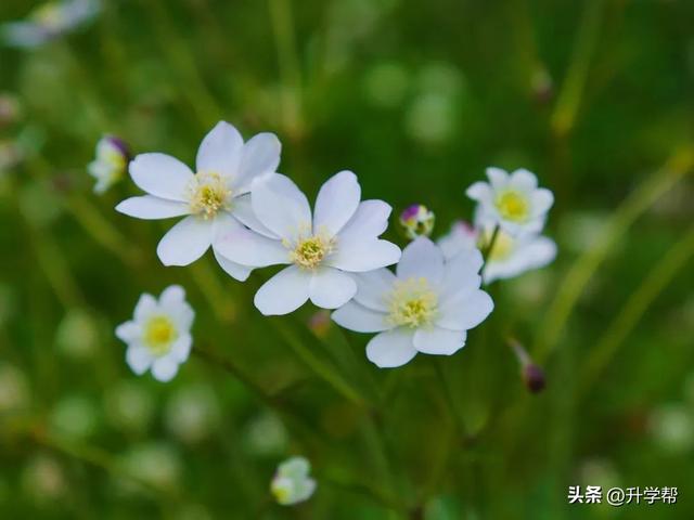 错峰游达古冰川+川西大环线5日攻略，人少景美速收藏！