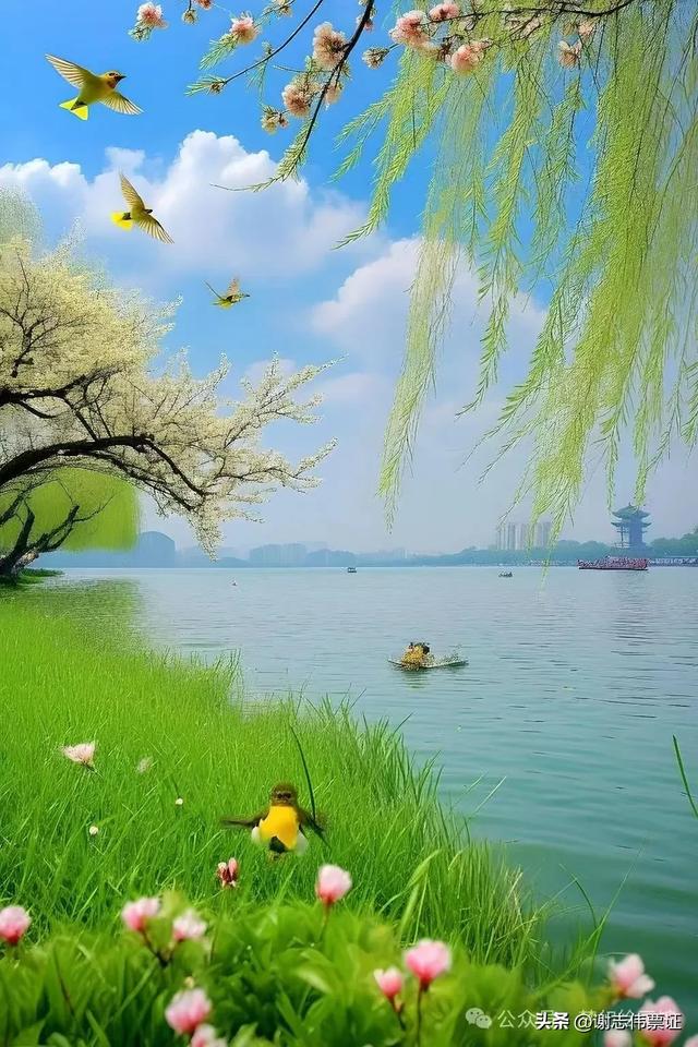 柳绿花红 风光无限