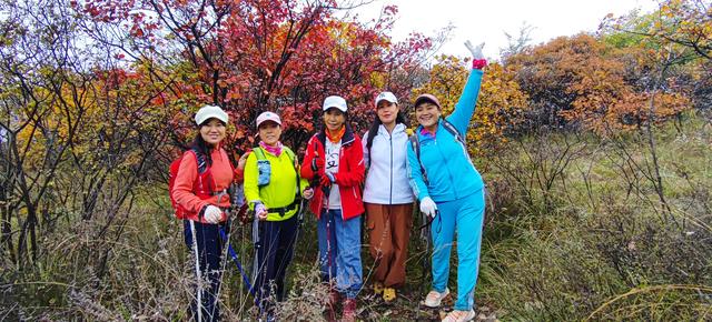 雾锁风挡山，红叶引客来