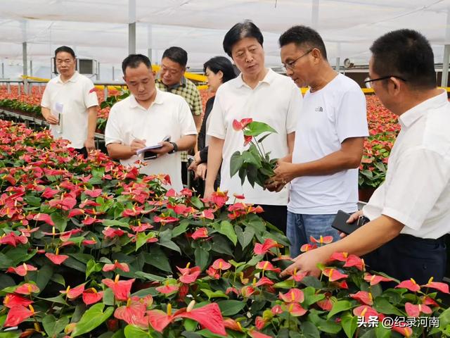 全国文明城市全国百强县永城永城不大​景色如画[强]