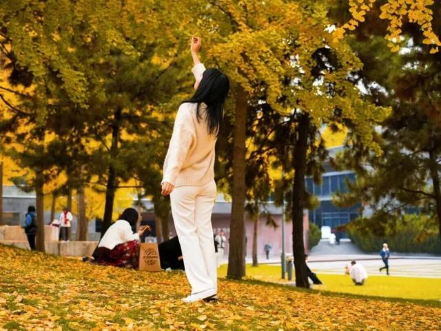 西安周末游丨这8个免费赏银杏叶好去处