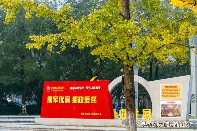 陕西渭南：人民公园银杏林色彩纷呈 祥和美丽 秋色宜人