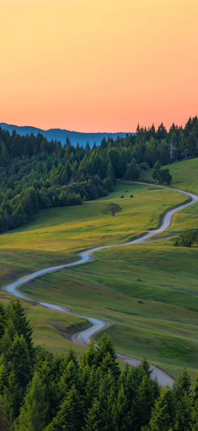 手机壁纸|清新自然，绿色风光美景