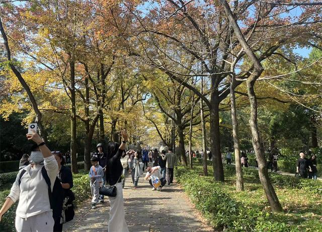 南京明孝陵，它的8个有趣知识，您知道几个？