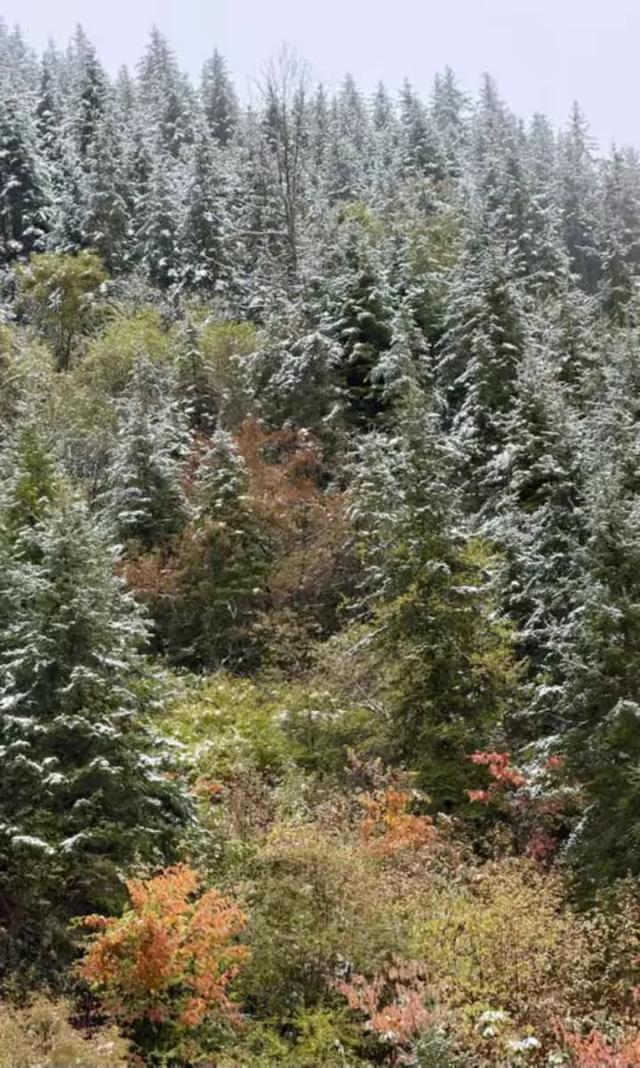 秋假追雪毕棚沟，没想到被安德服务区圈粉了！