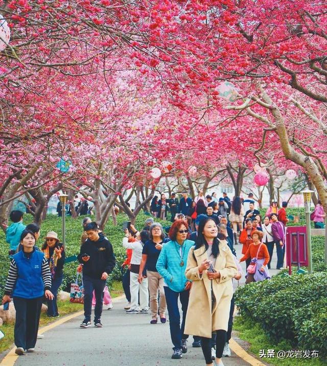 清新福建·五彩龙岩丨蓝色：龙岩最显著的本色