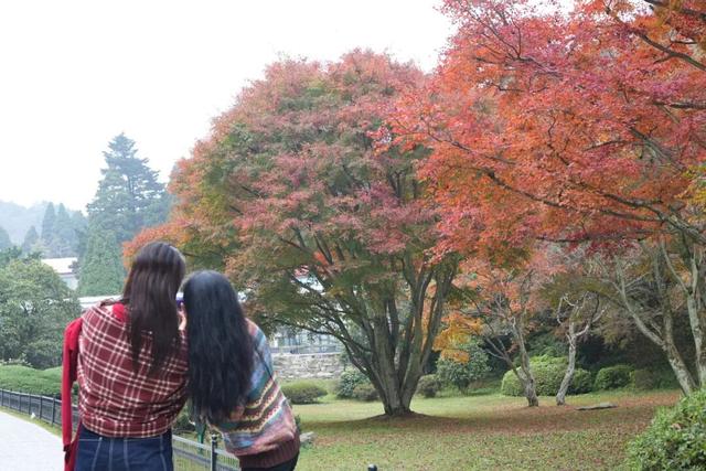 第二届庐山音乐节“邂逅”庐山赏枫季：乐队游客歌迷喜重重