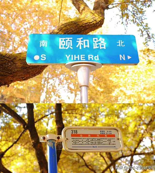 南京，来一百次，也不会腻的城市