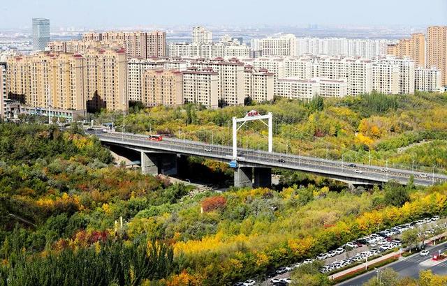 组图丨快来打卡！小绿谷公园这迷人秋景，美极了
