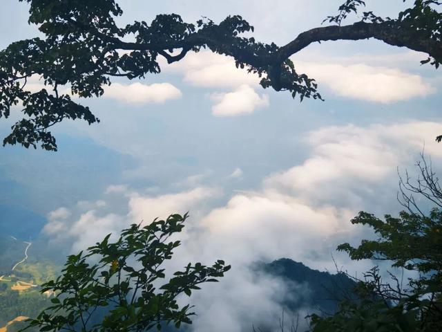 错峰赏云，把龙头山仙境装进旅途~