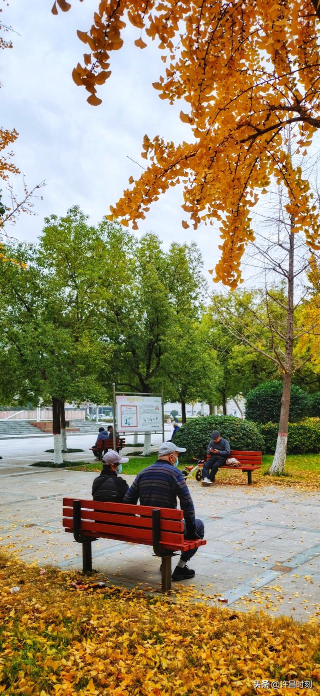 秋去韵留！许昌秋景余韵动人