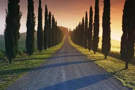 路的尽头到底是什么？图片