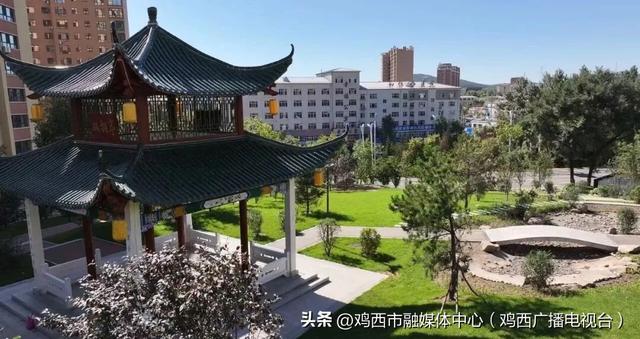 【迎旅发 看鸡西】我市多座口袋公园开放，“出门入园” 成真了