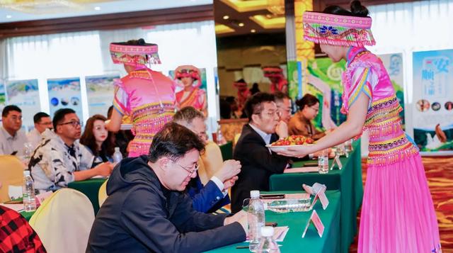 阳光米易走进上海 以小而美之韵 邀沪上宾朋赴山水之约