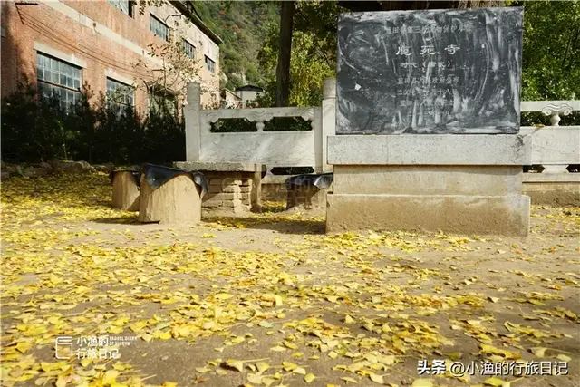 陕西古树，真的“封神”了！第二弹：秋天必看系列，最意外是它？