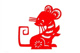 属鼠的人生大劫：一生中“最不走运”的年龄揭示图片