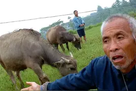 一个猎人的传奇（小说）图片