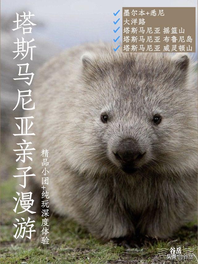 在塔斯马尼亚岛做小探险家