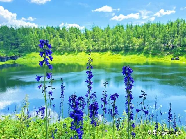 在阿尔山，邂逅一个22℃的夏天