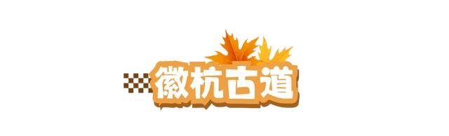 体荟四季｜初秋徒步正当时！长三角这些路线，承包你所有的秋日浪漫