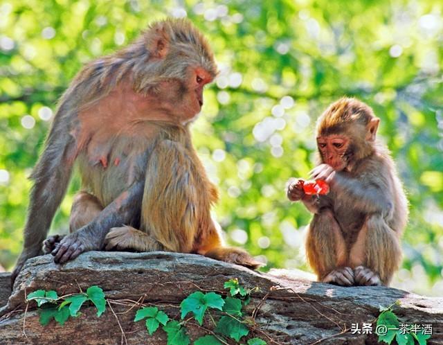 自驾营地：江苏连云港自驾游免费露营地、主要景点、特色美食