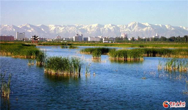 何以中国·壁画里的中国｜当“九色鹿”跃入张掖 西部生态名城再绘“绿水青山”新卷