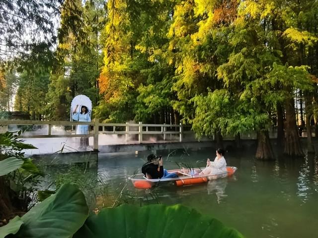 免票、打折……肇庆超多福利来袭！速看→