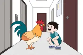 文明劝导化解楼道养鸡纠纷图片