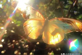 “一句话，让对方害怕失去你！”图片