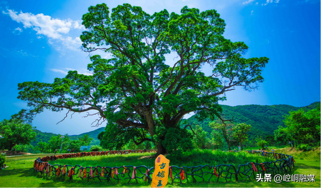 “崆峒杯”全国传统武术邀请赛暨2025崆峒武术大会 | “问道崆峒·康养平凉”文旅商贸促消费活动即将盛大启幕