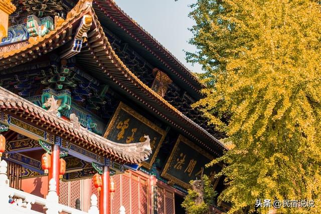 武汉不止这五千亩红叶，最大赏秋地绝了！