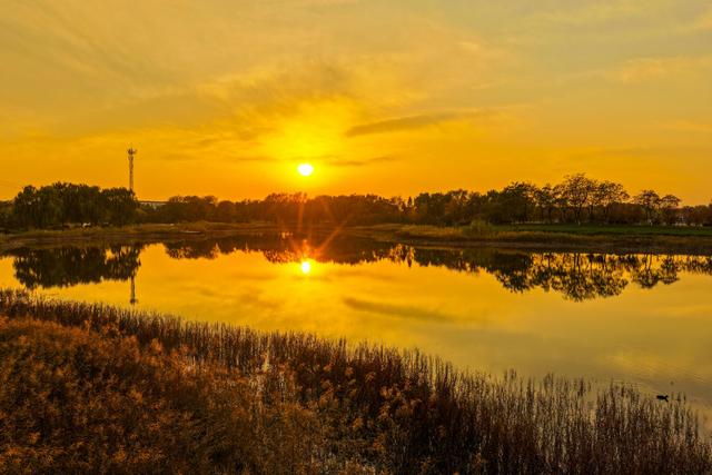 晚霞映照下的宁阳洸河湿地公园