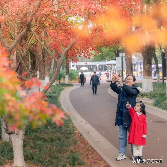 周末去打卡丨太好拍~东太湖绝美机位，“框框”出大片！