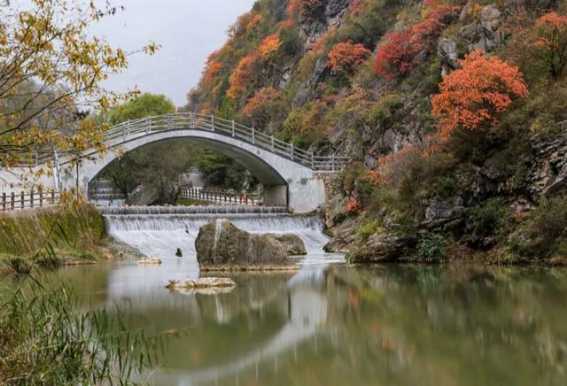 这才是秋天该有的样子~