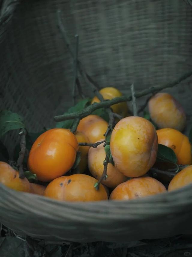 就这一口柿子，盼到冬天了！