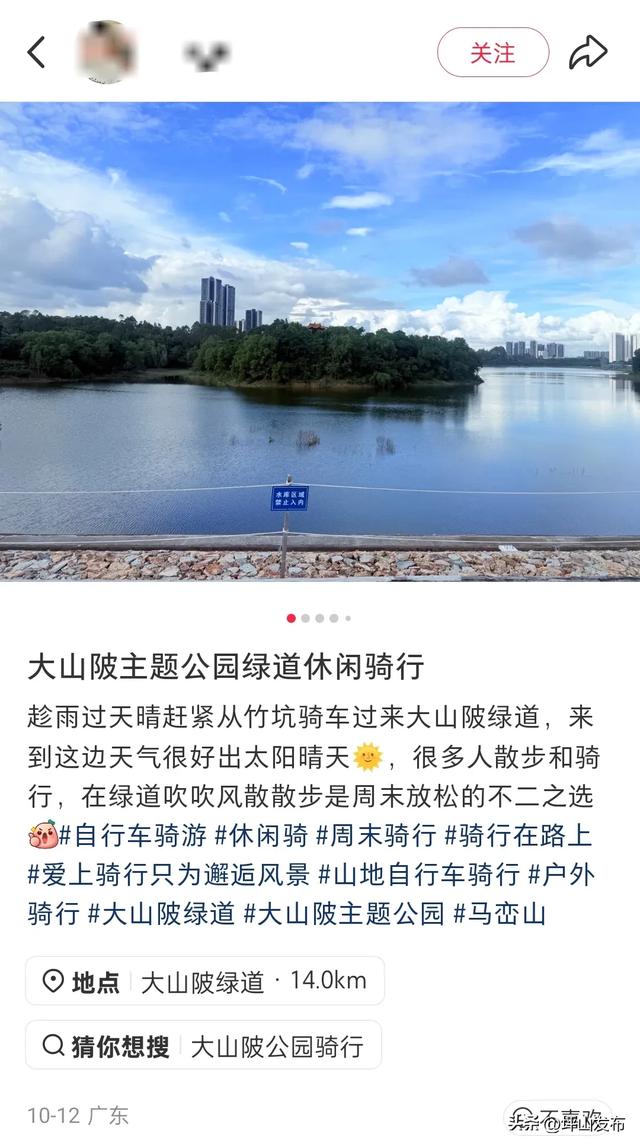 看完你的 看你的,坪山这片格桑花海承包你的秋日治愈感!