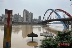 西江2024年第1号洪水洪峰顺利通过梧州丨“睇大水”不能掉以轻心图片