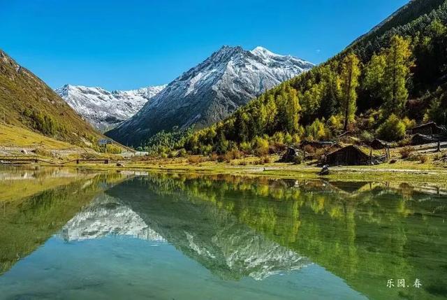 接下来，小金是这样的~