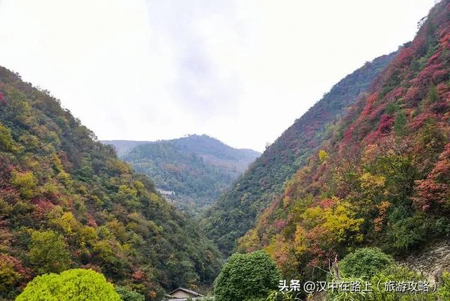 汉中出发沿嘉陵江跨省自驾，把秦巴深秋的美景装进车窗～图片