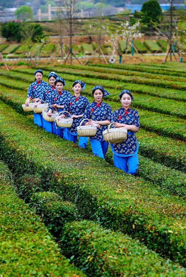 康养旅游，为何选日照？