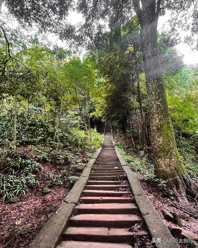 成都都江堰钻石徒步线路，都不要门票，360度观景台，让人惊叹！