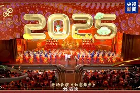 百余种非遗现身，央视蛇年春晚创下多个收视纪录图片