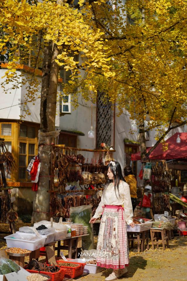 漫游韶关，赴一场山水间的秋日之约