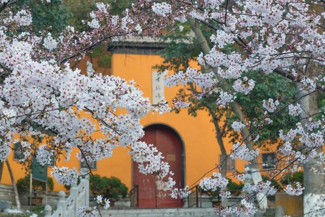 清明"黄金周"收官：出行半径超800公里，数据背后藏着什么信号